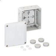 ���ߺ� ���Ӻ�